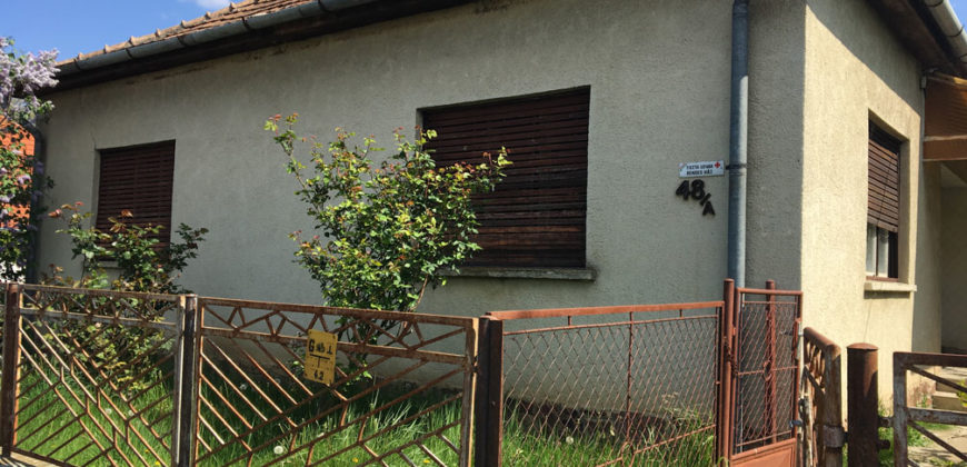 Pusztakovácsi, nhà 100 + 160 m2, lô 1200 m2 – Pusztakovácsi, 100+160 m2 ház, 1200 m2 telek