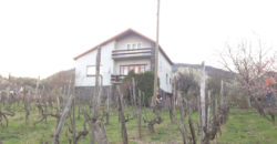 Badacsonytomaj, nhà 250 m2, lô 6300 m2 – Badacsonytomaj, 250 m2 ház, 6300 m2 telek