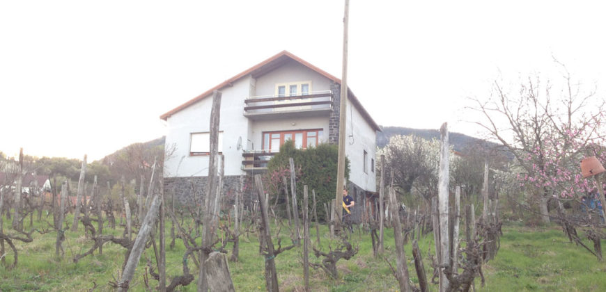 Badacsonytomaj, nhà 250 m2, lô 6300 m2 – Badacsonytomaj, 250 m2 ház, 6300 m2 telek