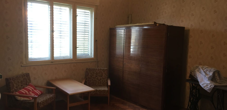 Pusztakovácsi, nhà 100 + 160 m2, lô 1200 m2 – Pusztakovácsi, 100+160 m2 ház, 1200 m2 telek