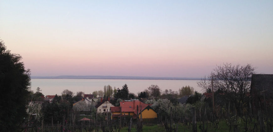 Badacsonytomaj, nhà 250 m2, lô 6300 m2 – Badacsonytomaj, 250 m2 ház, 6300 m2 telek