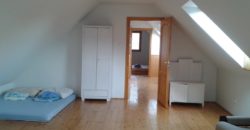 Đất thấp, nhà 270 m2, lô 1660 m2 – Pusztaszemes, 270 m2 ház, 1660 m2 telek