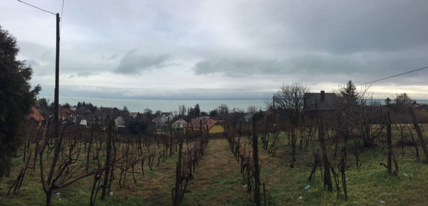 Badacsonytomaj, nhà 250 m2, lô 6300 m2 – Badacsonytomaj, 250 m2 ház, 6300 m2 telek