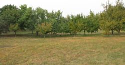 Balatonlelle, 100 m2 ház, 3932 m2 telek