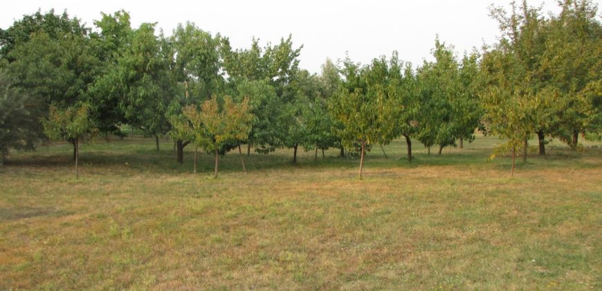 Balatonlelle, 100 m2 ház, 3932 m2 telek
