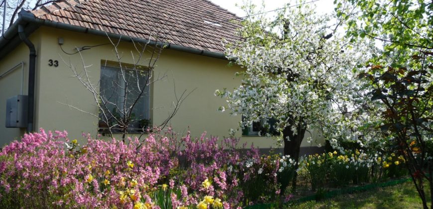 Balatonlelle, 100 m2 ház, 3932 m2 telek