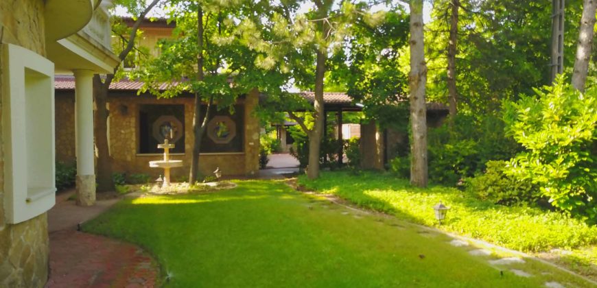 Érd, Nhà 1024 m2, sân vườn 2570 m2 sang trọng nửa sang trọng – Érd, 1024 m2 ház, 2570 m2 kert PAZAR LUXUS FÉLÁRON