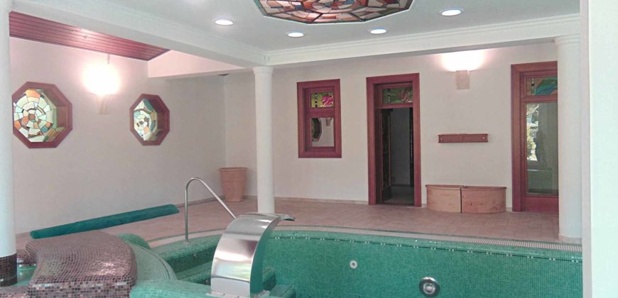 Érd, Nhà 1024 m2, sân vườn 2570 m2 sang trọng nửa sang trọng – Érd, 1024 m2 ház, 2570 m2 kert PAZAR LUXUS FÉLÁRON